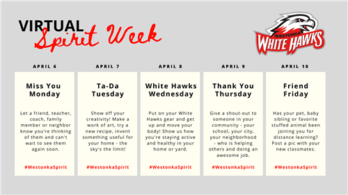 Virtual Spirit Week 